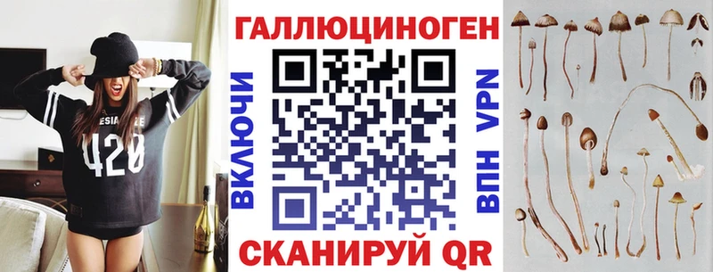 блэк спрут ТОР  Выкса  Галлюциногенные грибы Cubensis 