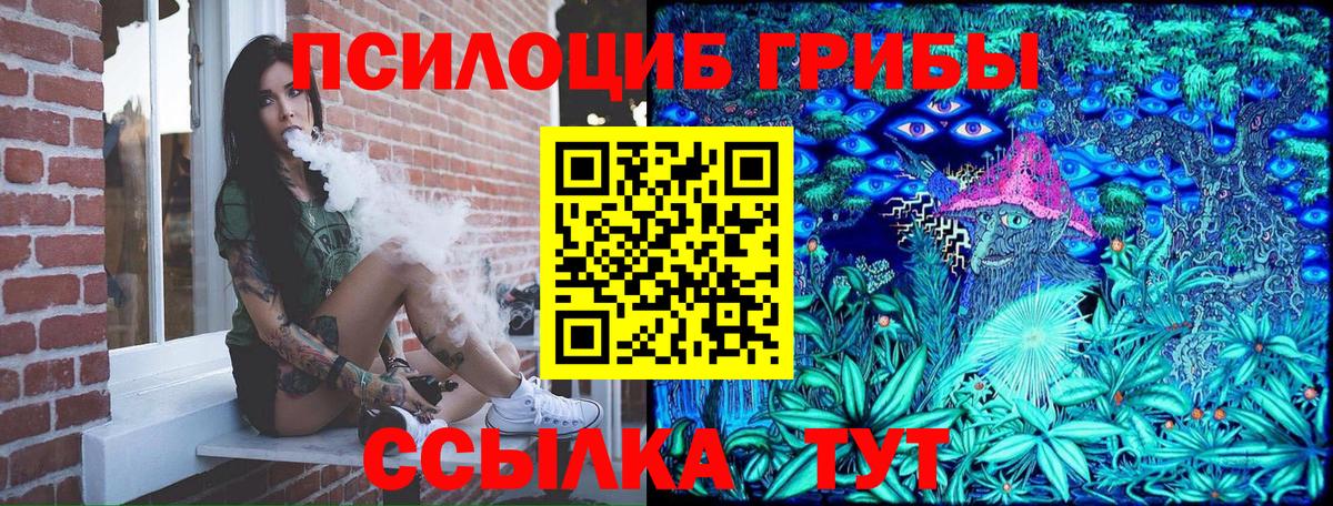 Выкса  Галлюциногенные грибы GOLDEN TEACHER  Вход с VPN  Галлюциногенные грибы прущие грибы 