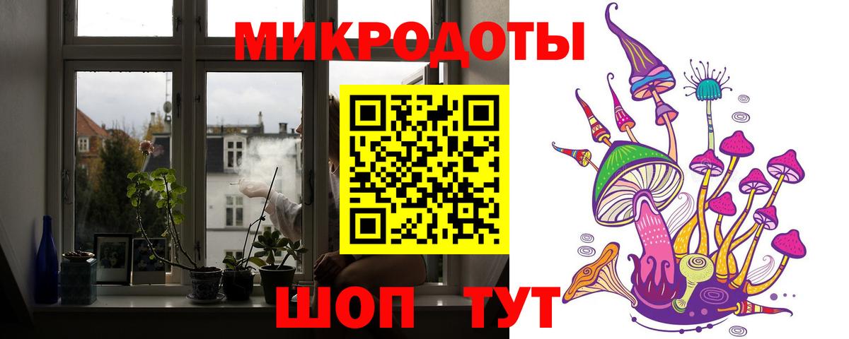 Псилоцибиновые грибы Psilocybine cubensis  Галлюциногенные грибы Psilocybine cubensis  Выкса 